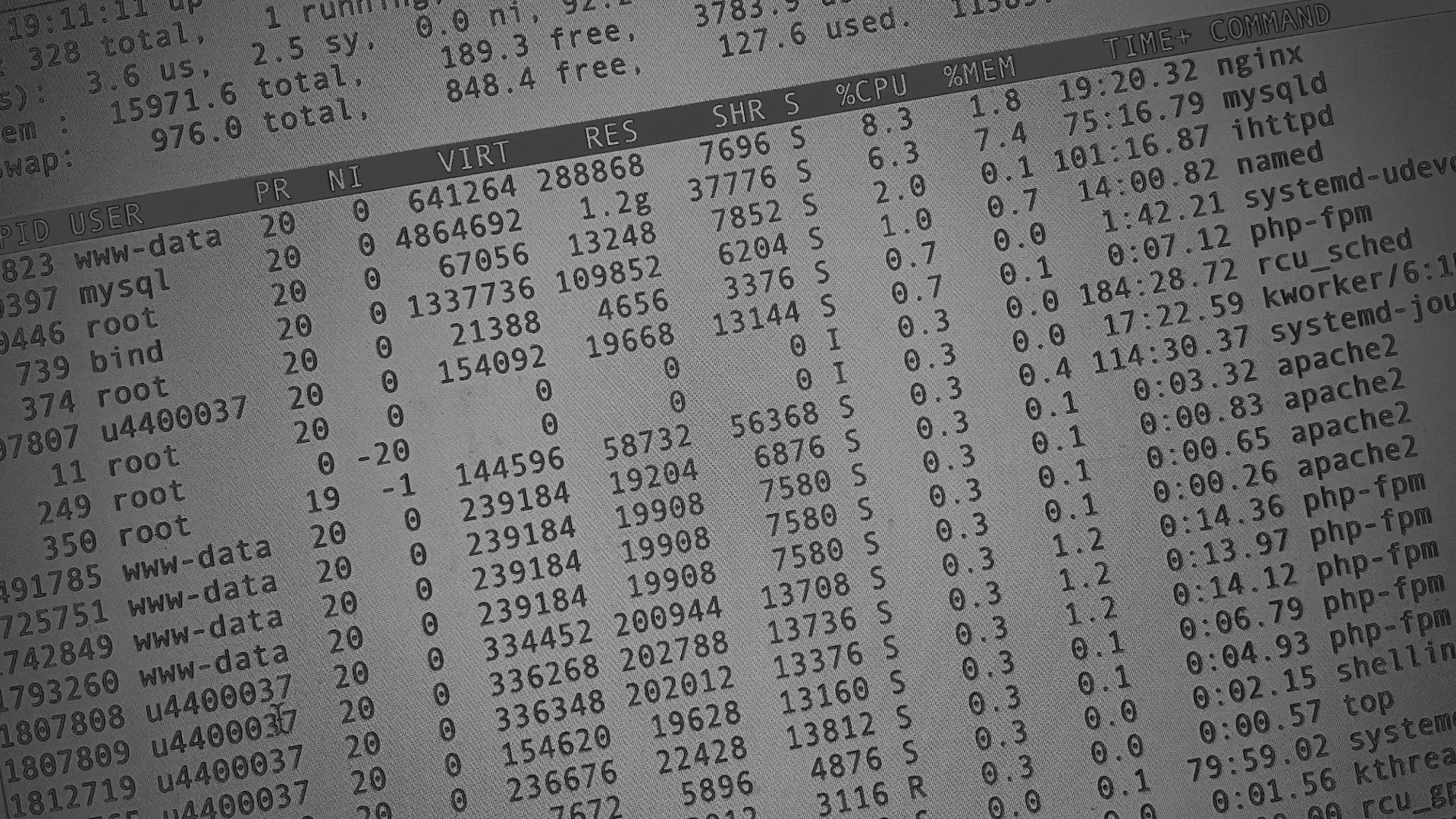 Настройка сервера в Усть-Лабинске