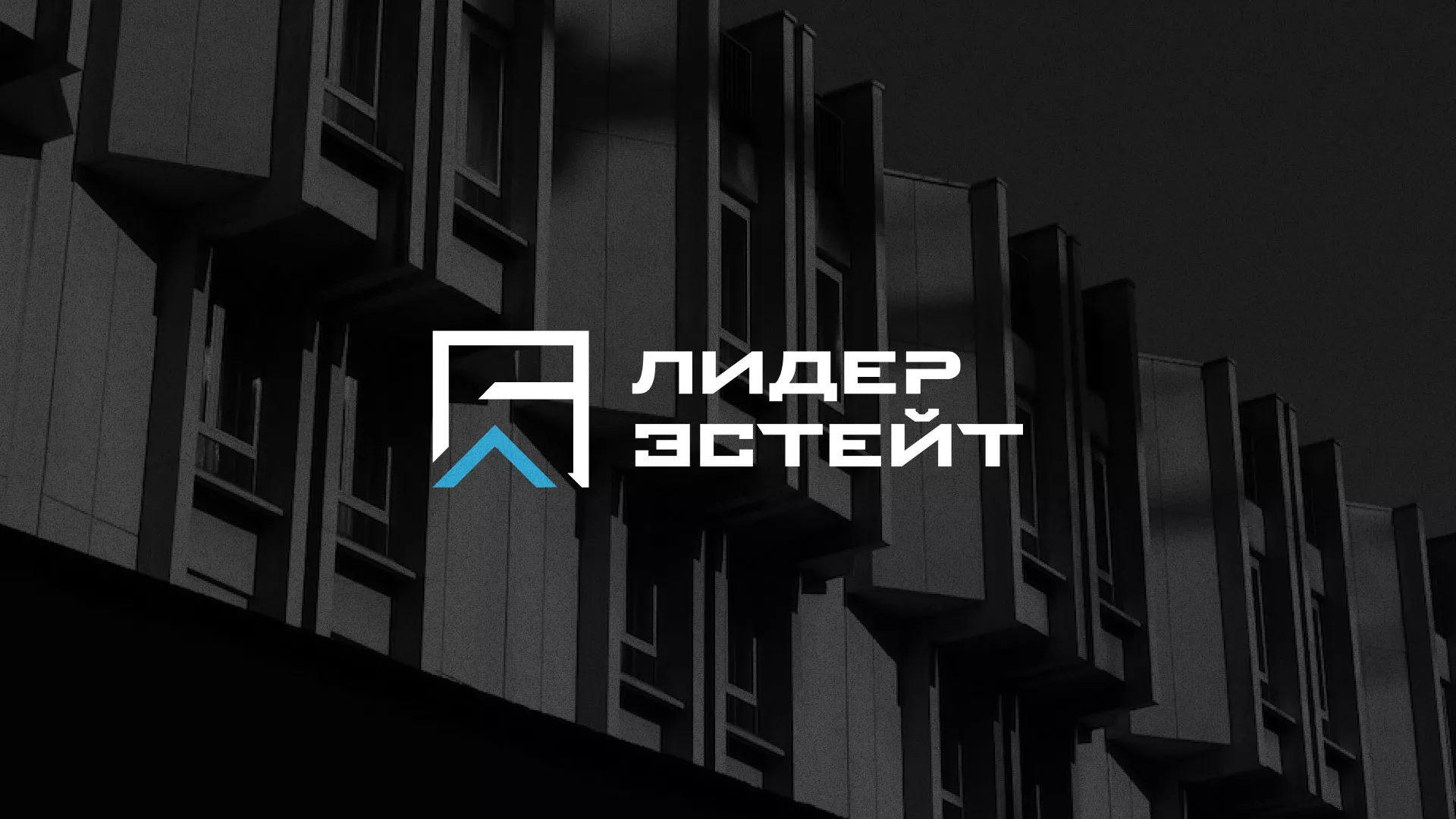 Разработка логотипа агентства недвижимости «Лидер Эстейт» в Усть-Лабинске